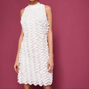 White ruffle Ted Baker dress with rose gold zipper